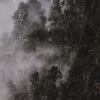 Nature Recordings、Rain Sounds XLE Library、Gentle Rain Makers - Waves of Calm