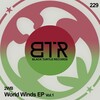 2WB - Derbak Khalili