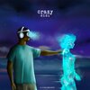 d!di - Crazy
