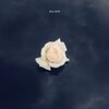 SILK MOB、Lex Lugner、Jamin、Opti Mane、Donvtello、Fid Mella - Dahin