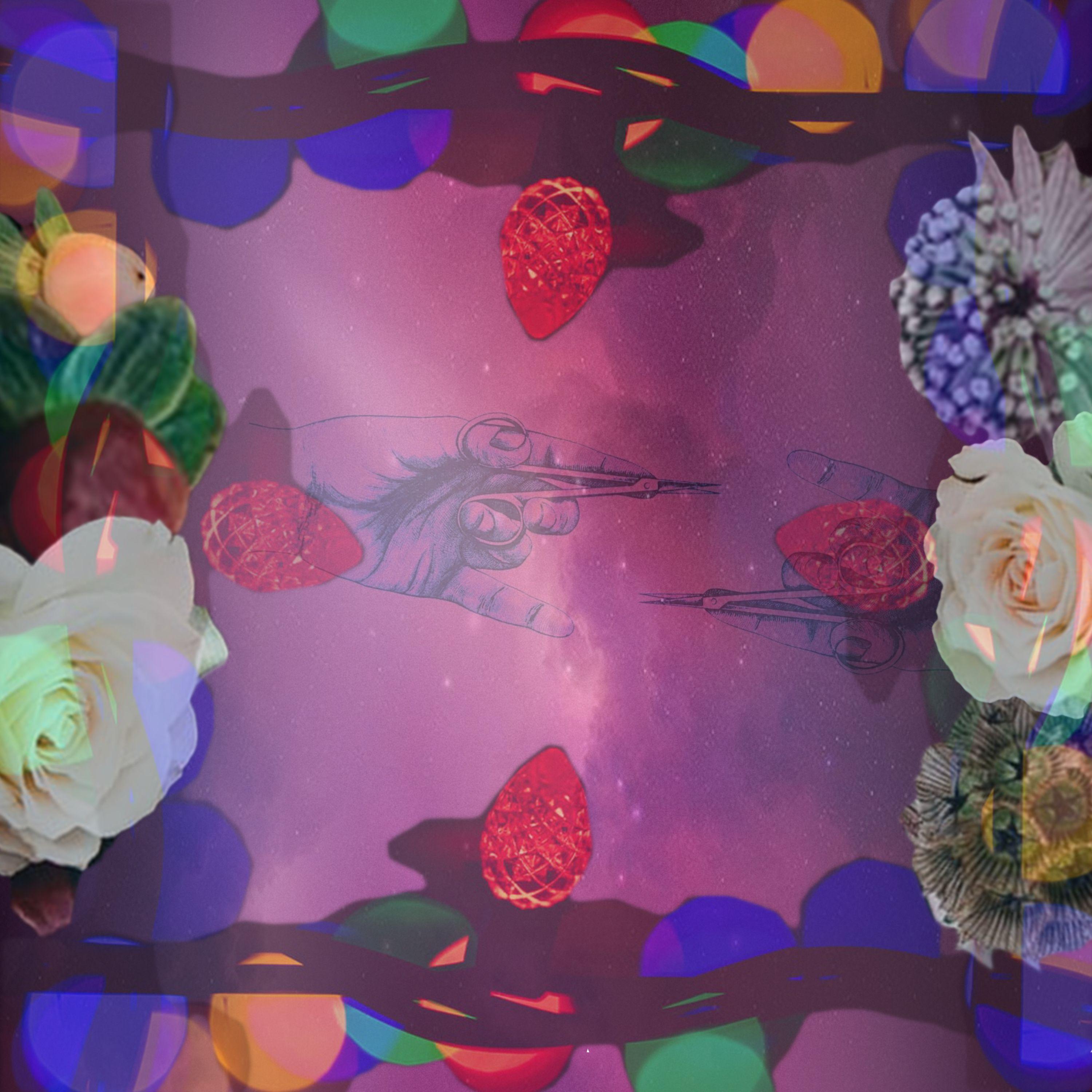 Michael Kennedy、City Step、Night Beatz、Randomizer、Rose Tides - Magenta Bloom