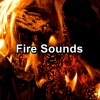 Musica Relajante、Focusity、Fireplace Sounds - Warm Campfires Sounds
