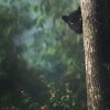 小奶瓶、绝世的陈逗逗 - 可惜没有如果 (中文DJ版)