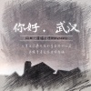 谯酌Dynasty - 你好,武汉