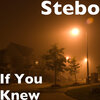Stebo - If You Knew (Explicit)