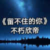不朽欣帝 - 留不住的你