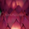VAGALLY VAKANS - 174Hz + Pink Noise + Womb Sounds + (北海道・洞爺湖の自然音)