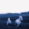 Royalty Mixer、Randomizer、Frosty Vibes、United Fire Drivers、rachel stevens - Belgium Awakened