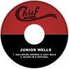Earl Hooker、junior wells - Galloping Horses a Lazy Mule