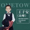 王子安 - 故乡