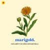 Mannywellz、Dave James、Ari Lennox - Marigold