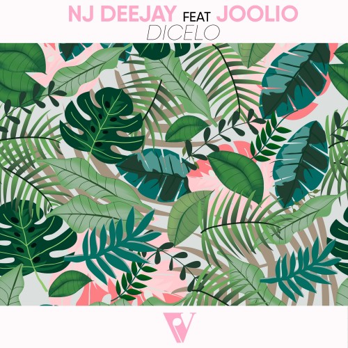 Joolio、NJ Deejay - Dicelo