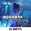 南辰 - 我的爱 像尘埃