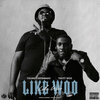 Young Costamado、TDott Woo - Like Woo (Explicit)