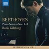Boris Giltburg - I. Allegro