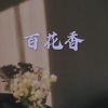 柒琪 - 离 岸 (火山版)