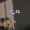 柒琪 - 其实我想说的还有很多 (火山版)