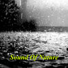 The Outdoor Library - Thunder