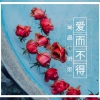 东辰 - 爱而不得