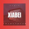 妖珊 - 下辈子谁也不会认识谁 (Remix)