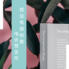 你的大美、若寒 - 奈何我心 (DJ版)