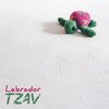 Labrador - Tzav