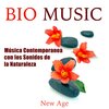 Paradise Café - Música para Meditar