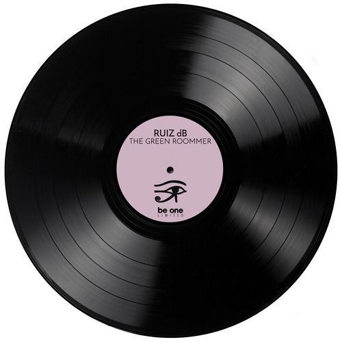 Ruiz dB - In This Room