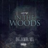 Aankha Neal、HYDE - In the Woods (Explicit)
