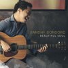 sandhy sondoro - Beautiful Soul