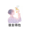 一条小团团ovo - 谁舍得他 (DJ版)
