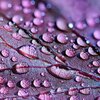 Rain and Nature、Rain Sounds for Sleep、Massage Music - Rain on Umbrella
