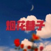 圈妹、杨梅冰 - 心太软 (DJ版)