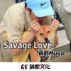 张凯 - Apologize (治愈女声版)