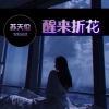 苏天伦 - 经典再现Rise And Fall (DJ版)