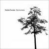 Gabriel Ananda - Blauer