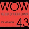 Top Hits Group - Firestarter