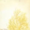 Cooper Robinson、张靓颖、Ann One、Patricia Marx - Don't Take That As A Compliment