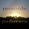 Paduraru - Dynamicfaith