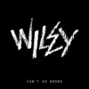 Wiley - Can't Go Wrong