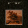 Slovak Philarmonic Orchestra - Symphony No. 8 in B Minor, D. 759: I. Allegro moderato