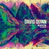 David Quinn、Sidekicks - Momentum (Radio Edit)
