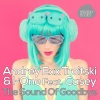 Andrey Exx、I-One、Troitski、Casey - The Sound of Goodbye