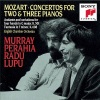 Murray Perahia、Radu Lupu《I. Allegro》[MP3/LRC]