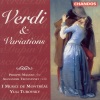 Alexander Trostiansky、Yuli Turovsky、I Musici De Montreal - Fantasia on Arias from La traviata - I. Introduction: Presto - Moderato (茶花女咏叹调幻想曲 - 第一乐章 前言：急板 - 中速的)