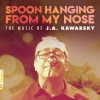 Javier Jose Mendoza、Chicago Arts Orchestra、Jonathan Helton - Fastidious Notes