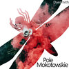 Daesmith - Pole Mokotowskie