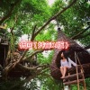 王纱琦 - 感谢你曾来过 (DJ版)