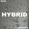Mark Pizzonia - Hybrid