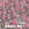 伊佳一 - 青木繁花